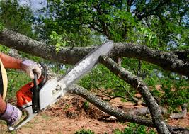 Preston, ID Tree Removal Company